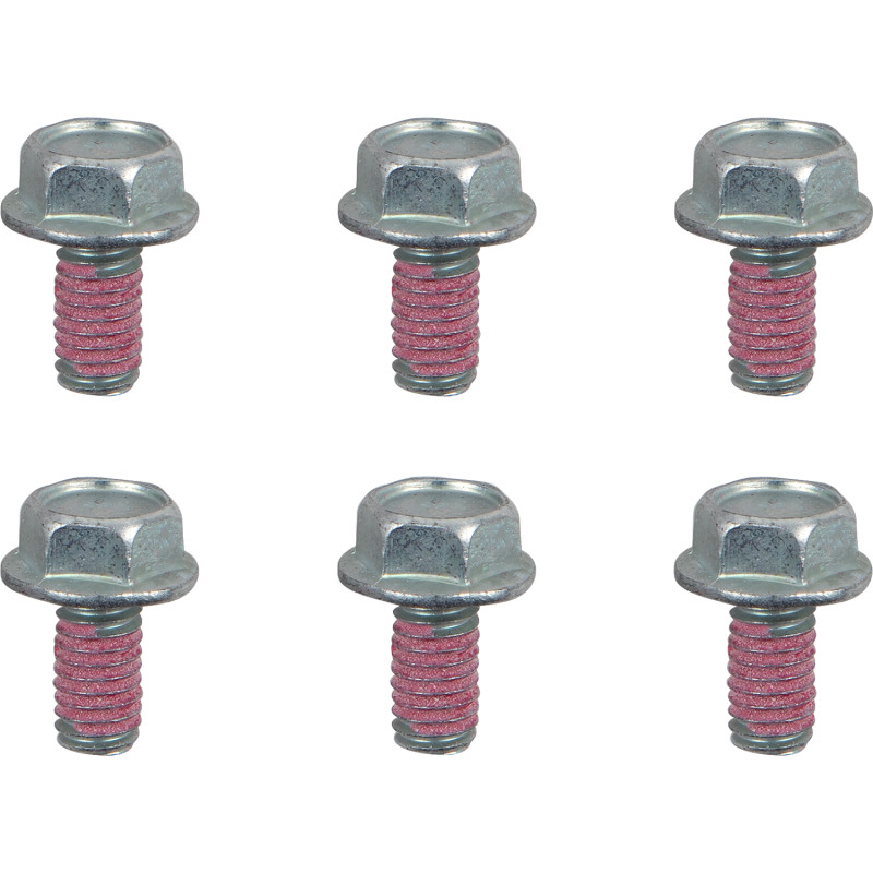 Brake Rotor Bolts - M6x12