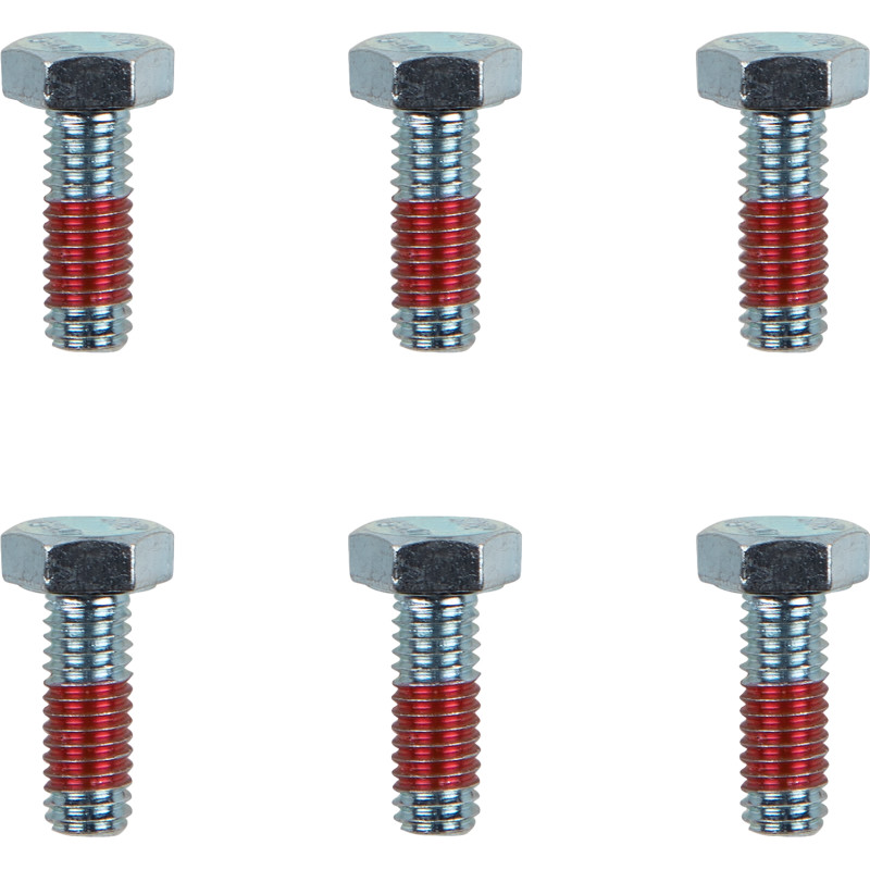 Brake Rotor Bolts - M6x17