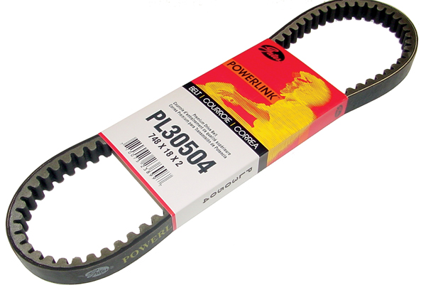 Premium Scooter Drive Belt