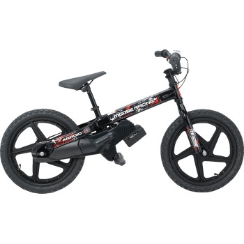 Agroid 16X E-Bike
