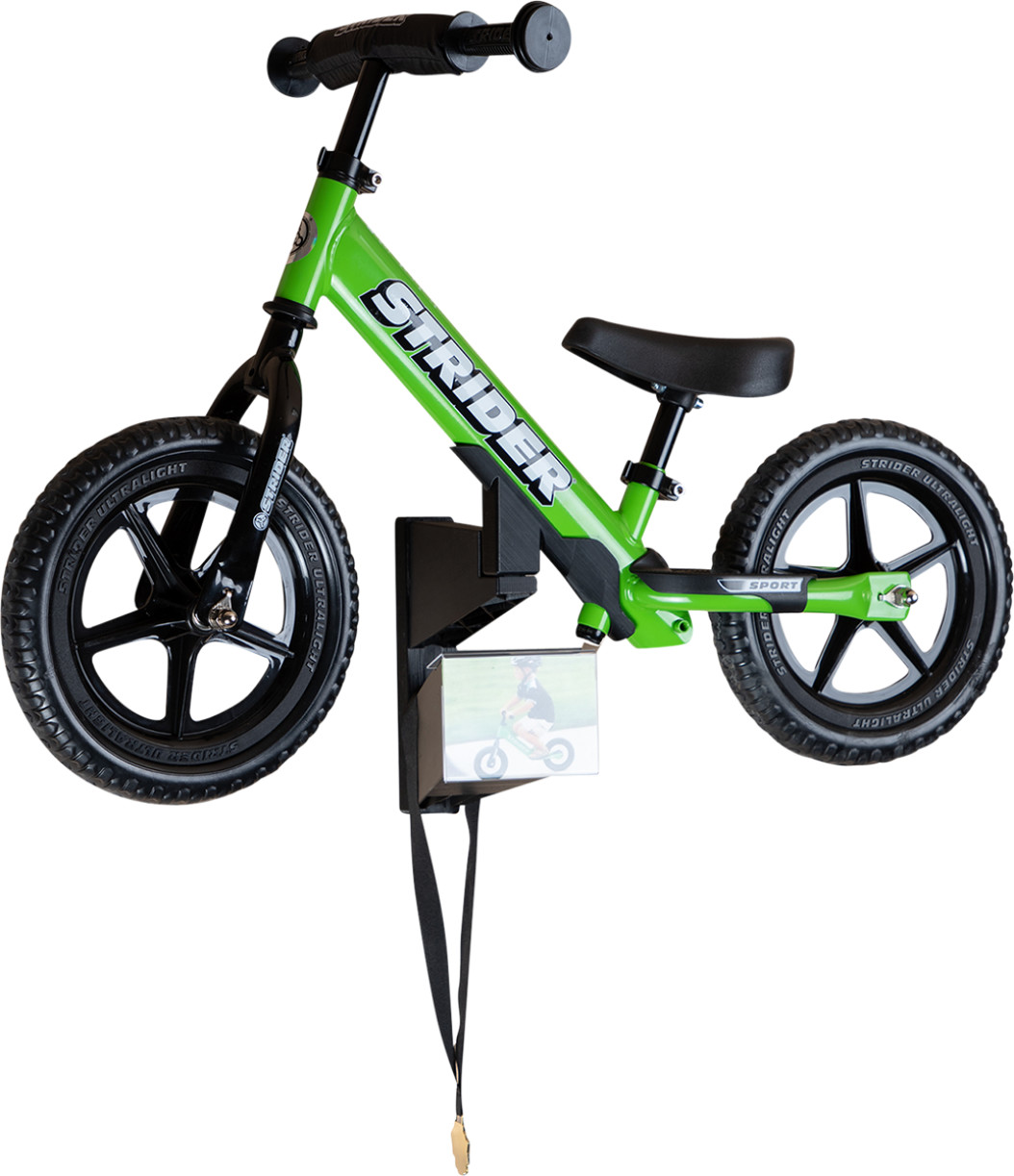 Strider Memory Mount