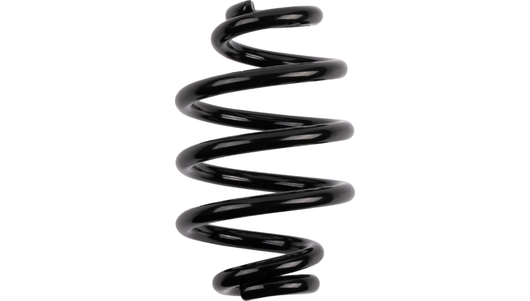 Seat Springs - 3in. - Black