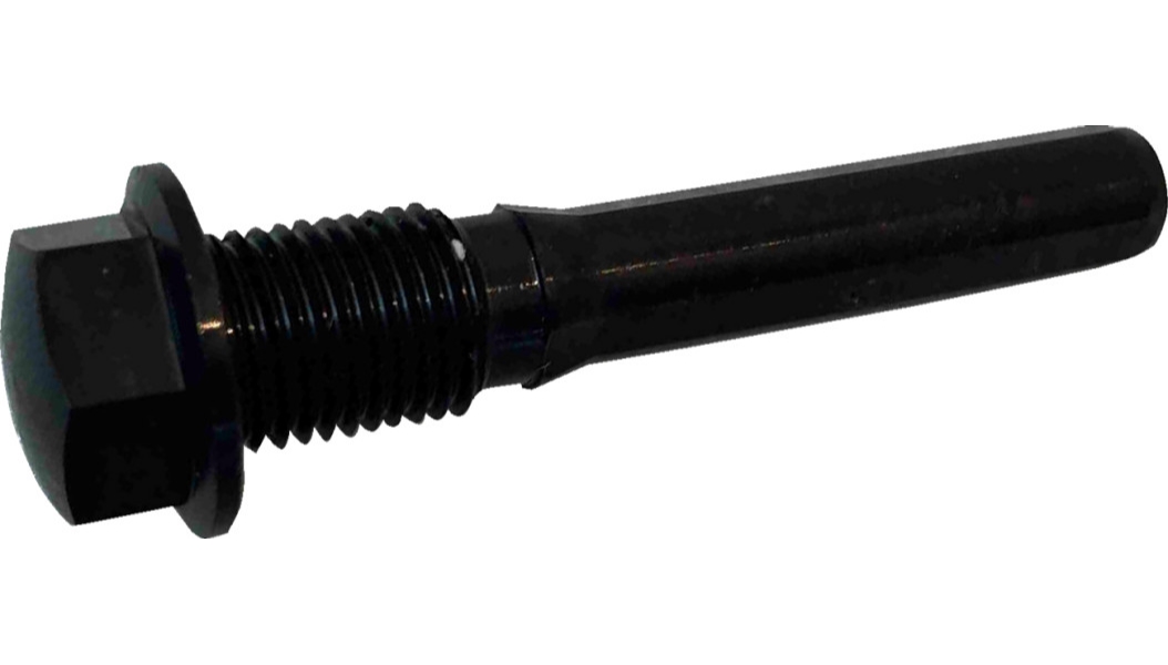 Rear Caliper Pin Bolts
