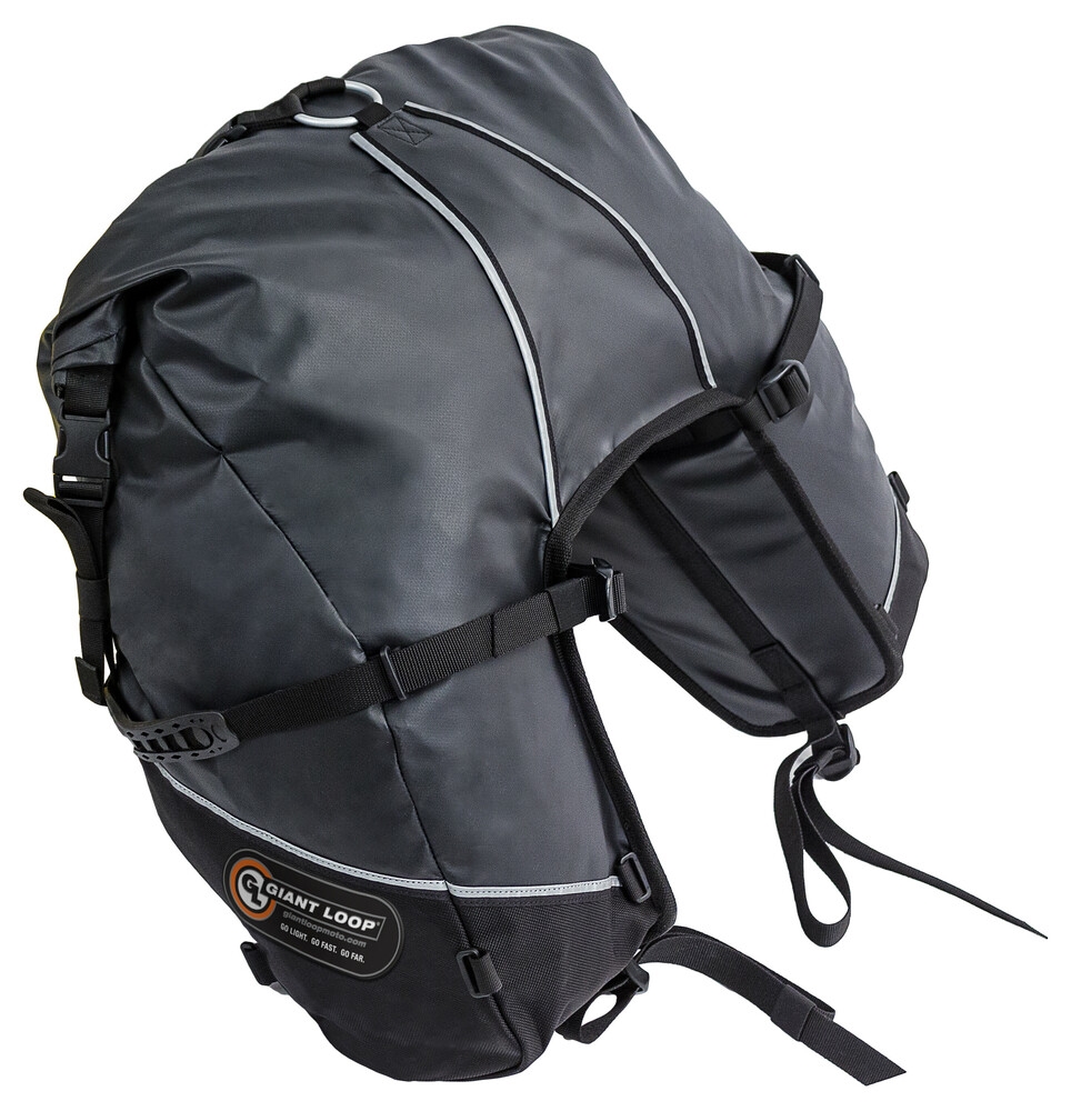 Great Basin Saddlebag