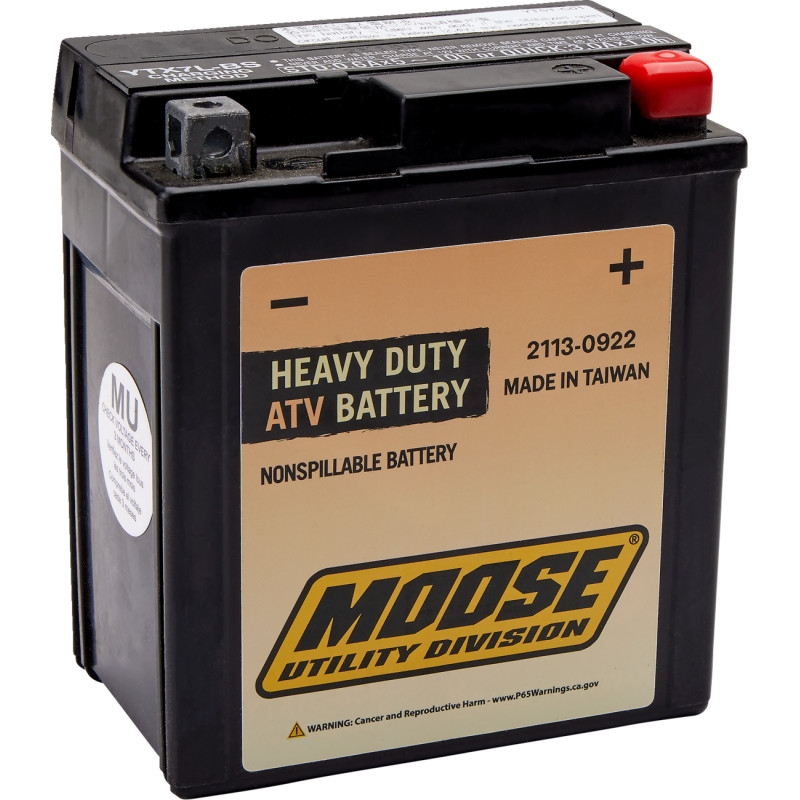 AGM Maintenance Free Battery