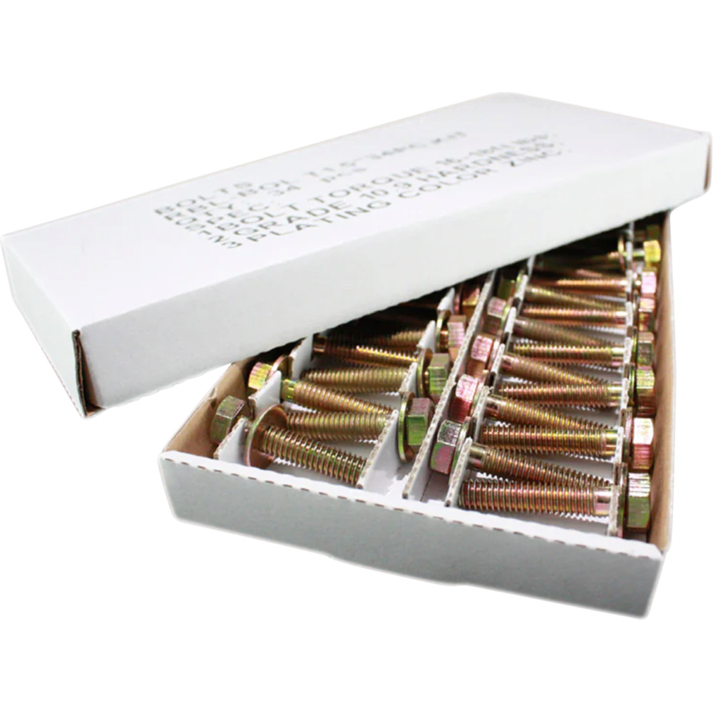 Beadlock Bolt Kit - 5/16 - 18 X 1.00in.