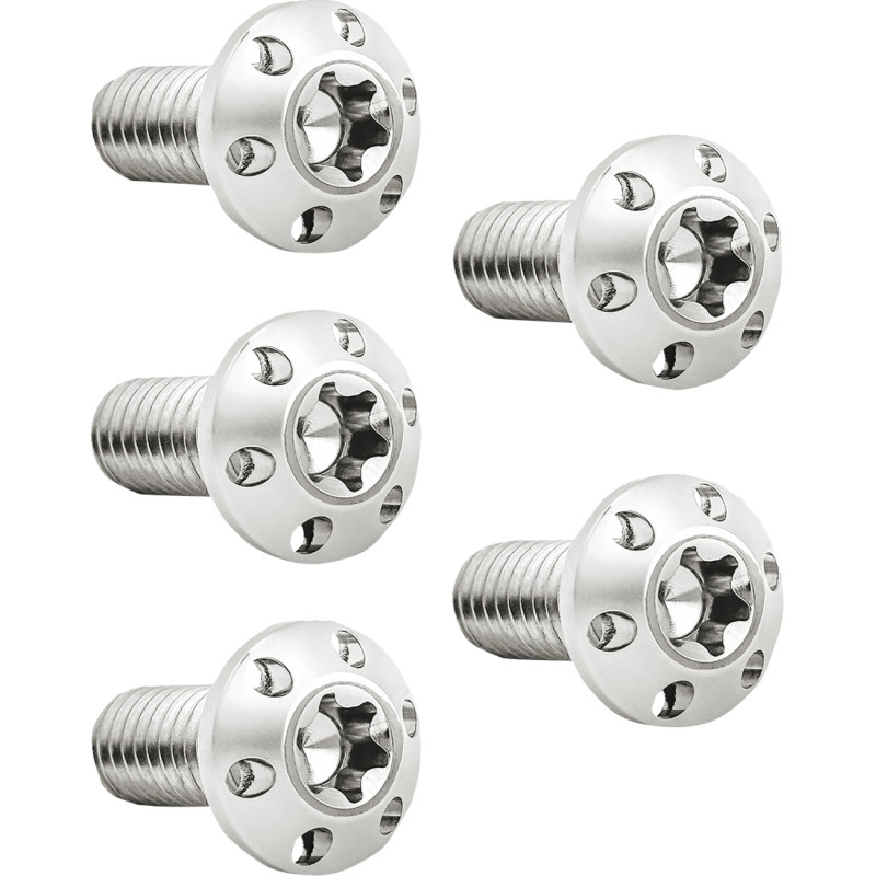 Holeshot Brake Rotor Bolt Kit - Rear - Polished