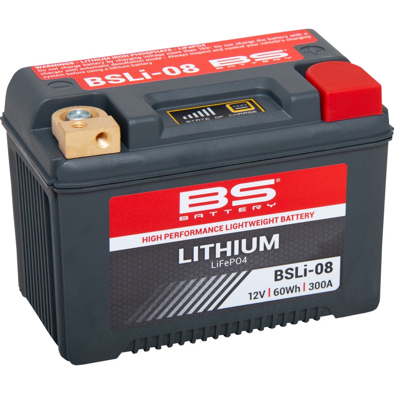 High Performance Lithium Battery