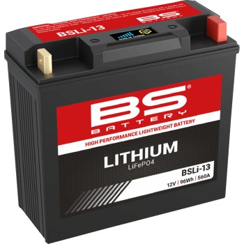 High Performance Lithium Battery