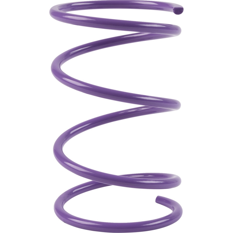 Secondary Spring - 160-240lbs. - Purple