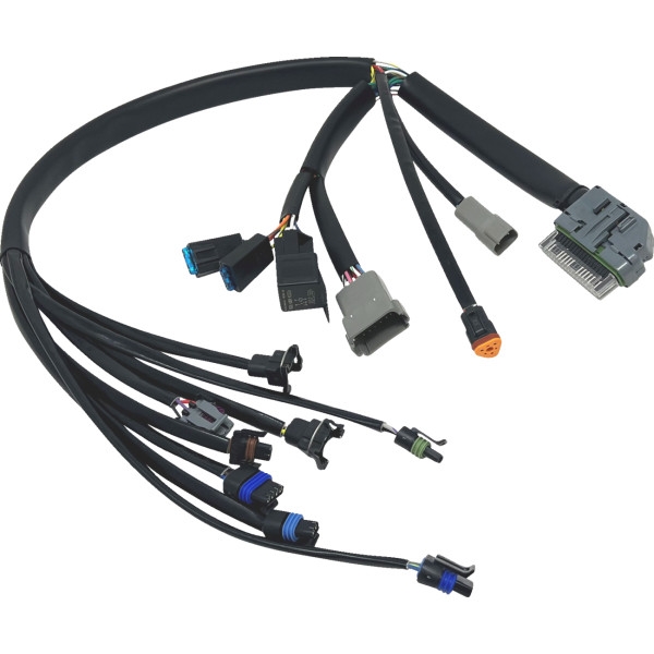 Ignition Wiring Harness