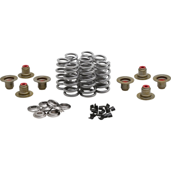High-Performance Ovate Wire Beehive Valve Spring Kit