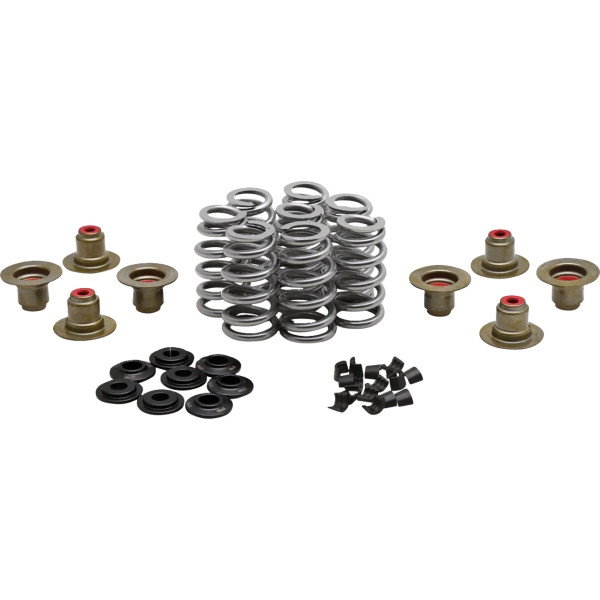 High-Performance Ovate Wire Beehive Valve Spring Kit
