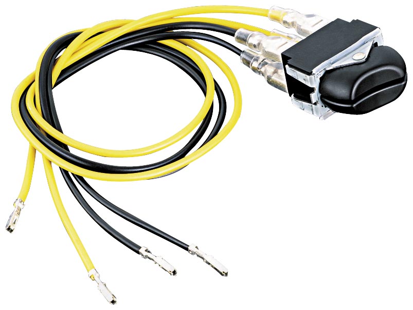 Double Rocker Switch