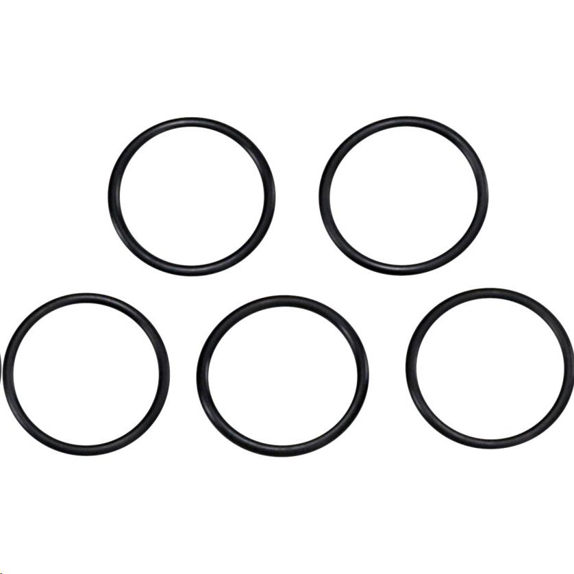 Oil Pump Check Valve O-Ring