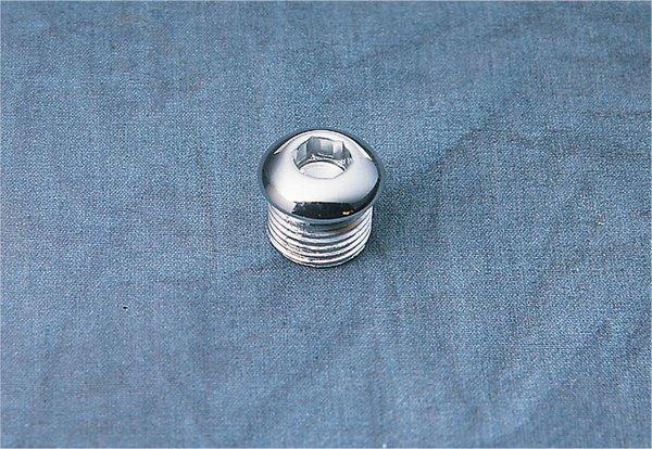Chrome Socket-head Timing Plug