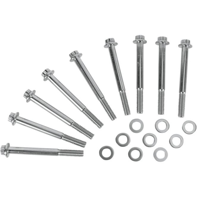 Crankcase 12-Point Polished Stainless Engine Bolt Kit