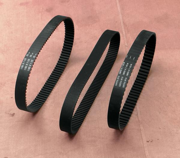 8mm 1 5/8in. Primary Belt - 141T