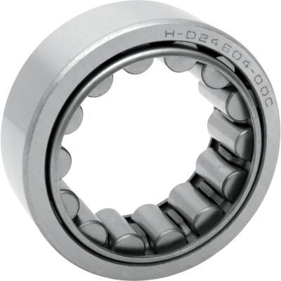 Pinion Shaft Bearing - Right Side