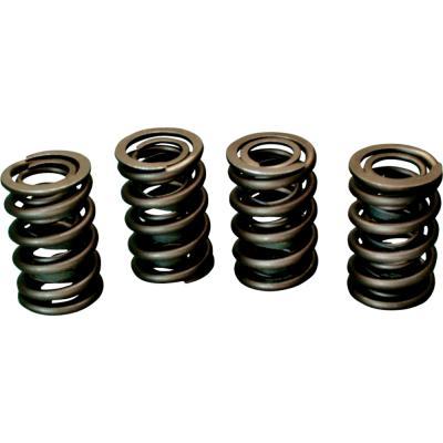 Valve Spring Set - .600in