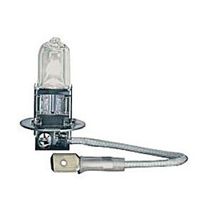 Bulb for Skull Head Front Fender Ornament