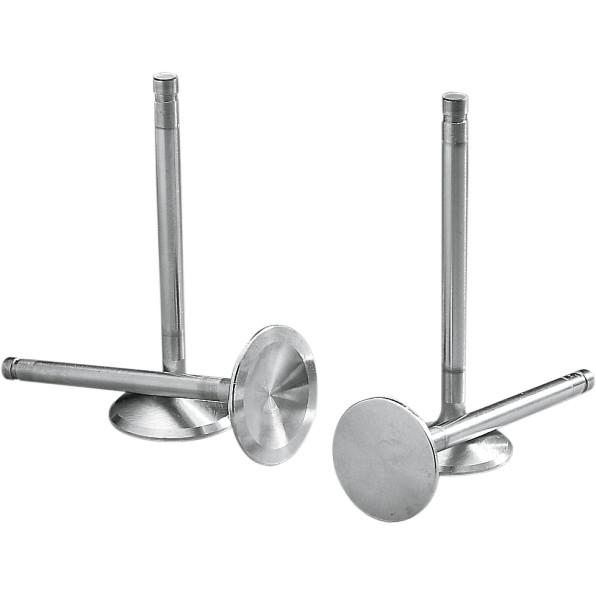 Stainless Steel Intake Valve