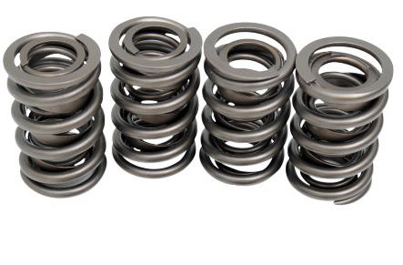 Valve Spring Kit