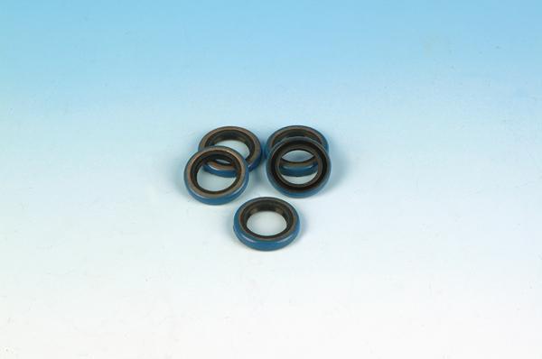 Shift Shaft Cover Seal
