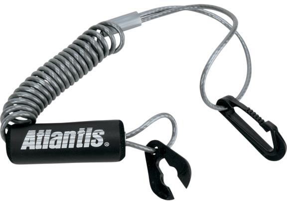 Lanyard - Silver