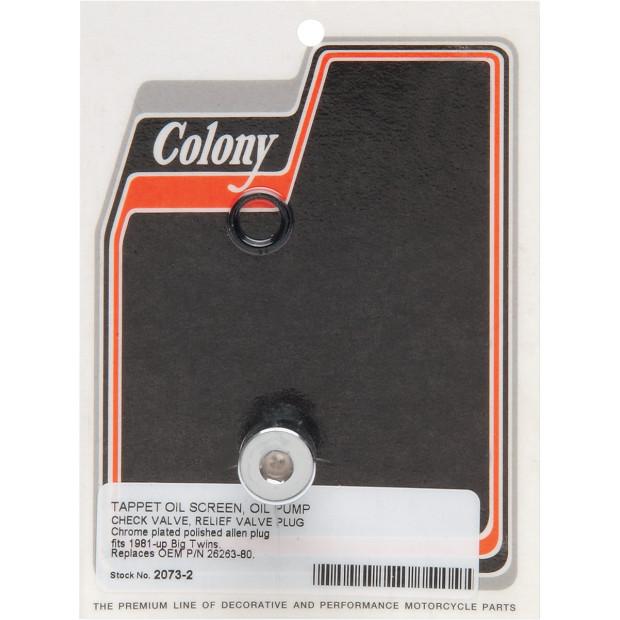 Custom Oil Pump Plug - Allen-head Style