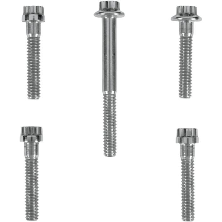 Intake Manifold 12-Point Polished Stainless Engine Bolt Kit