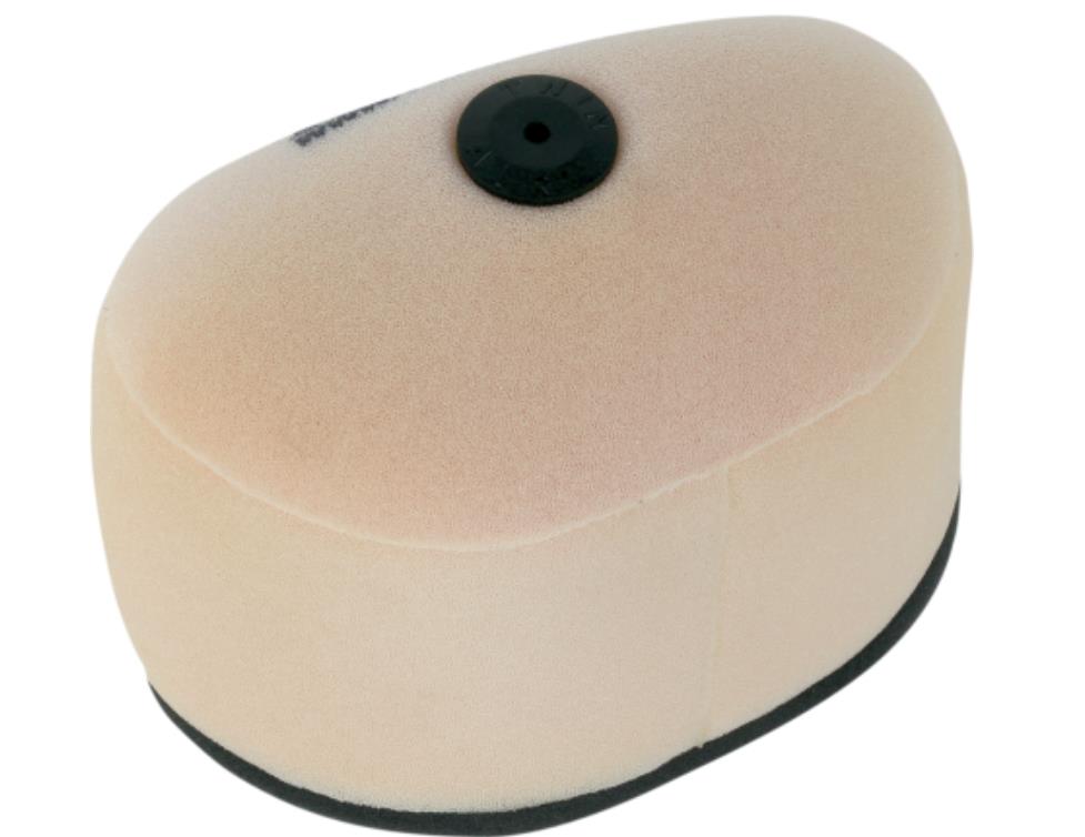 Air Filter With Backfire Foam