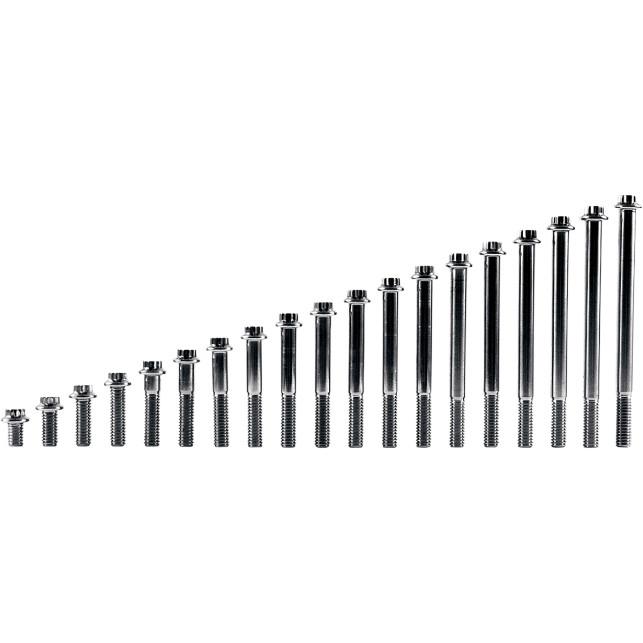 12-Point Stainless Steel Coarse Thread Bolt Refill Packs - 7/16in.-14 x 2 1/2in.