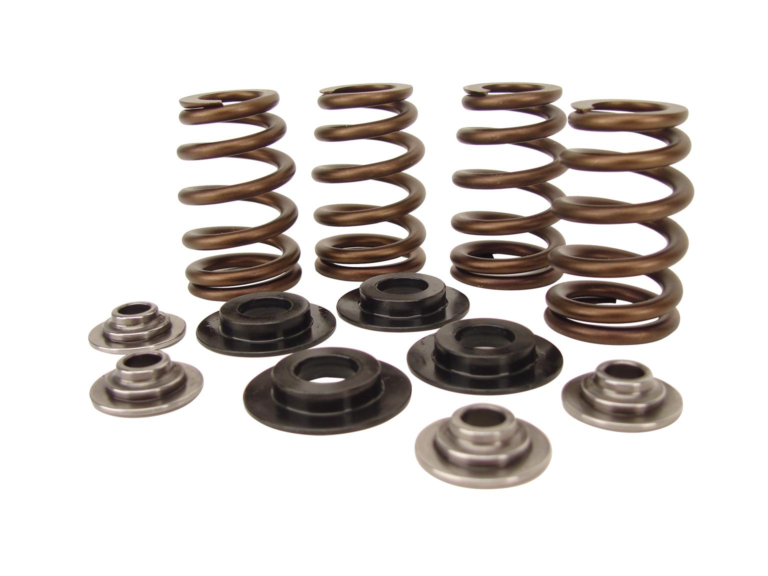 Beehive Valve Spring Kit for 5/16in Valve Stem - .650in. Lift
