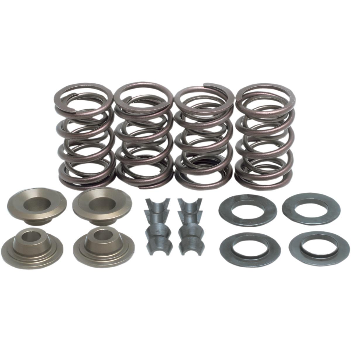 Lightweight Racing Valve Spring Kit - Titanium - .655in Lift