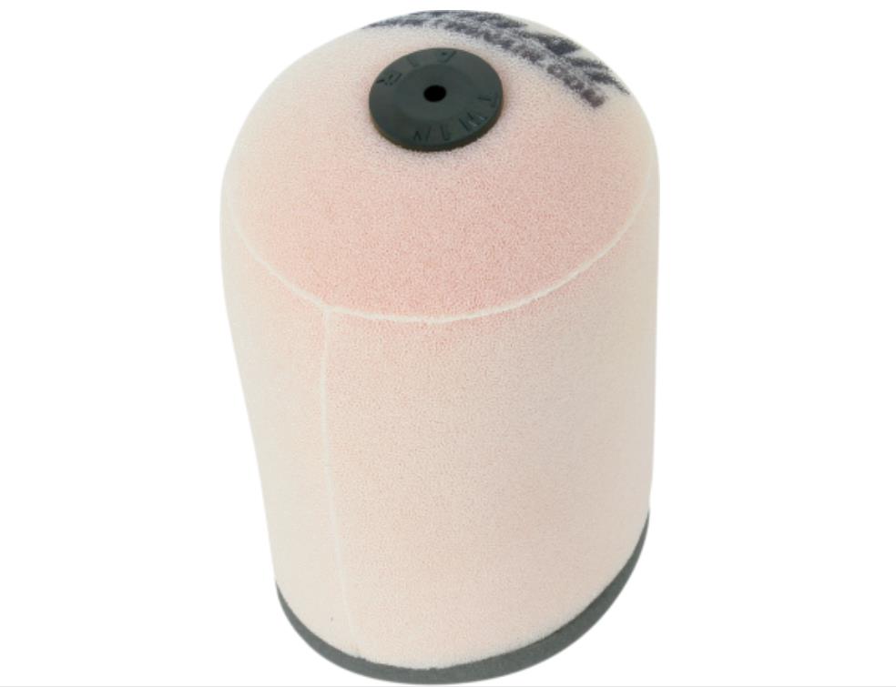 Air Filter With Backfire Foam