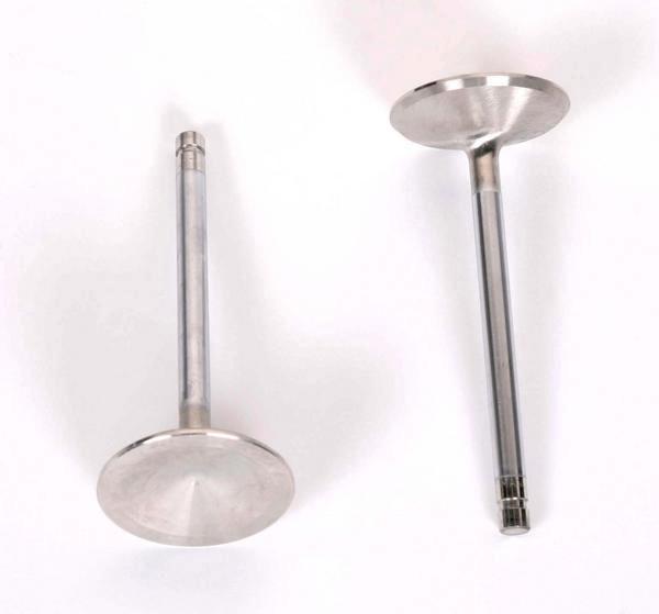 Stainless Steel Intake Valve - Nitride