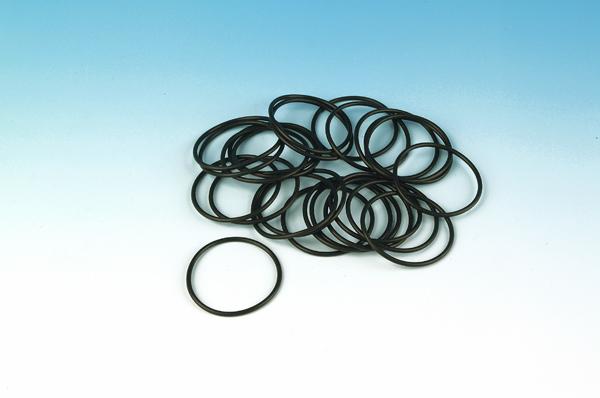 Chain Inspection Cover O-Ring