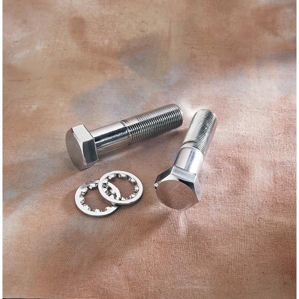 Softail Swingarm Axis Tube Bolt Kit