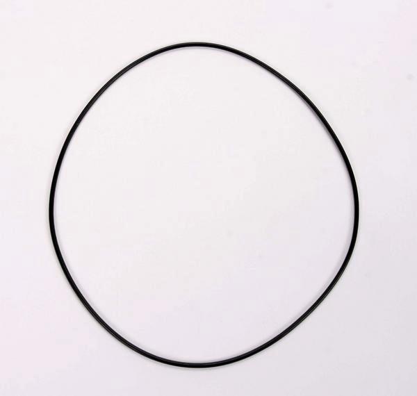 Alternator/Chain Housing O-Ring