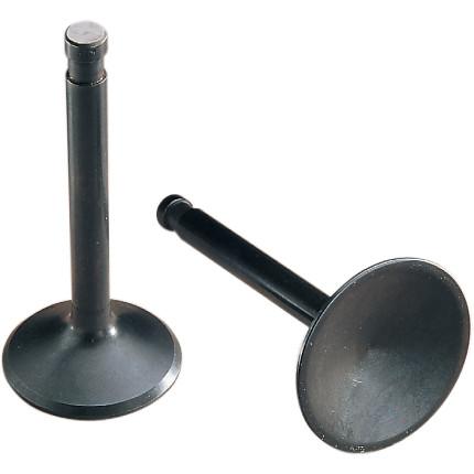 Black Diamond Intake Valve - Standard (44.45mm)